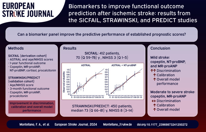 Graphical abstract