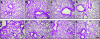 <b>Figure 4</b>