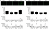 <b>Figure 1</b>