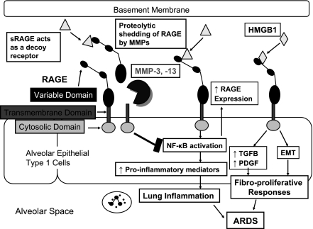 Fig 1.