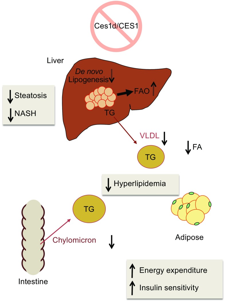 Figure 3