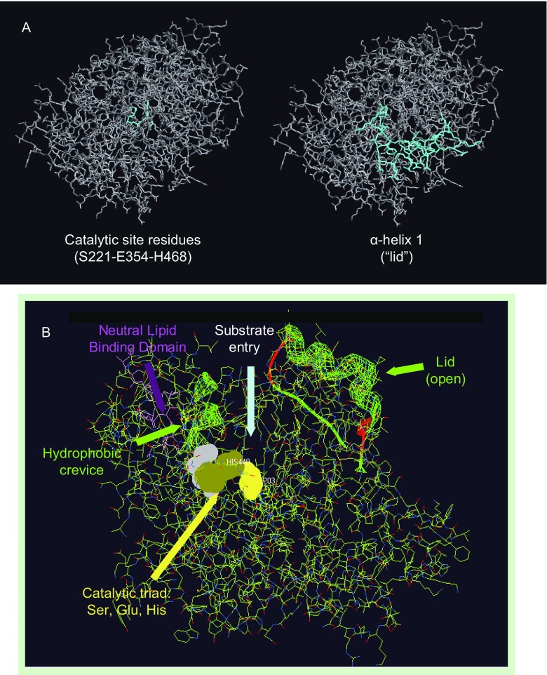 Figure 2