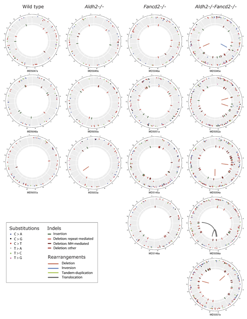 Extended Data Figure 4