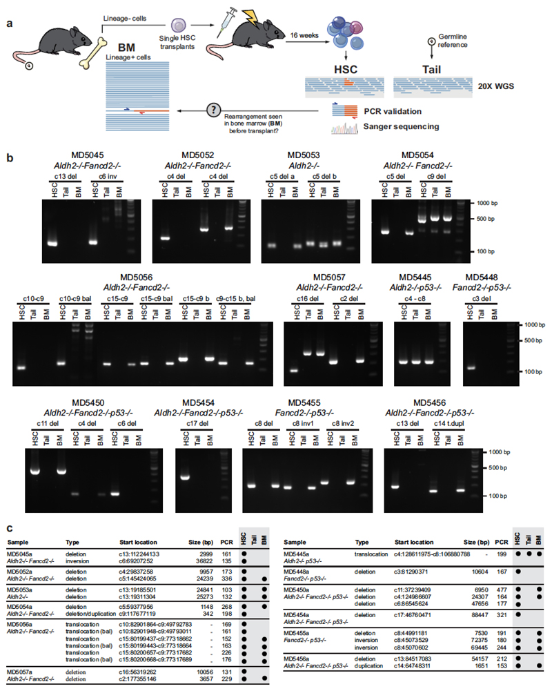 Extended Data Figure 10