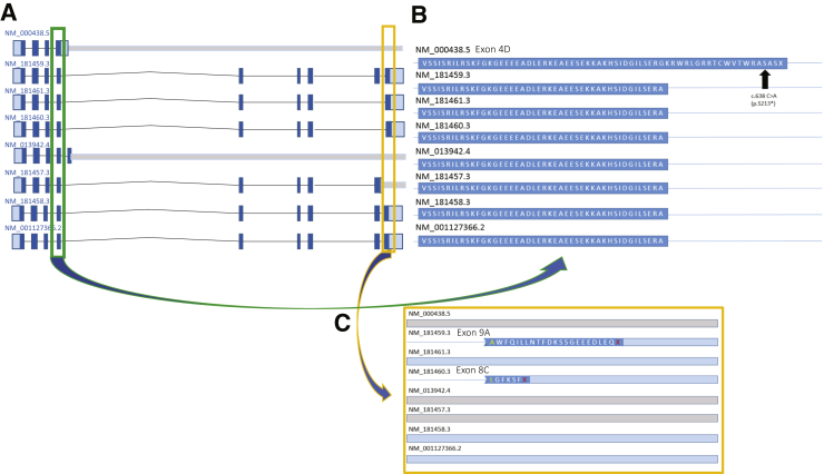 Figure 4