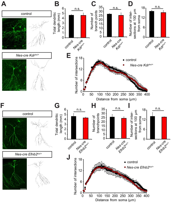 Figure 6—figure supplement 1.