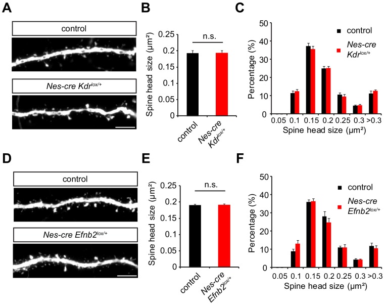 Figure 6—figure supplement 2.