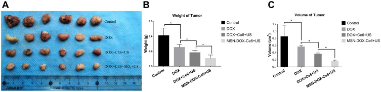 Figure 6