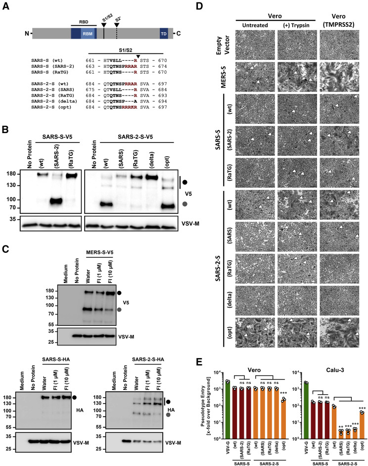 Figure 2