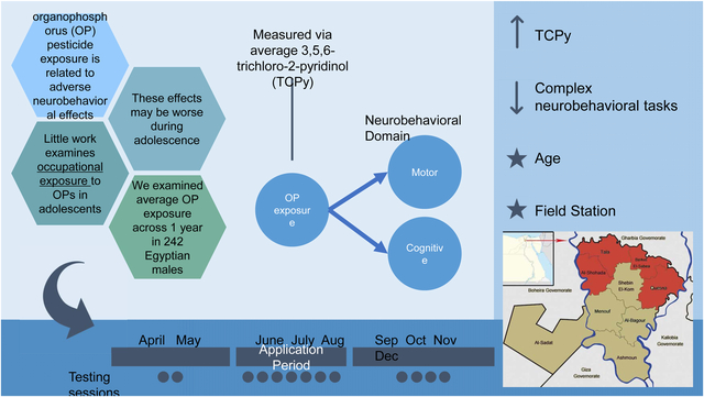 graphic file with name nihms-1693651-f0001.jpg