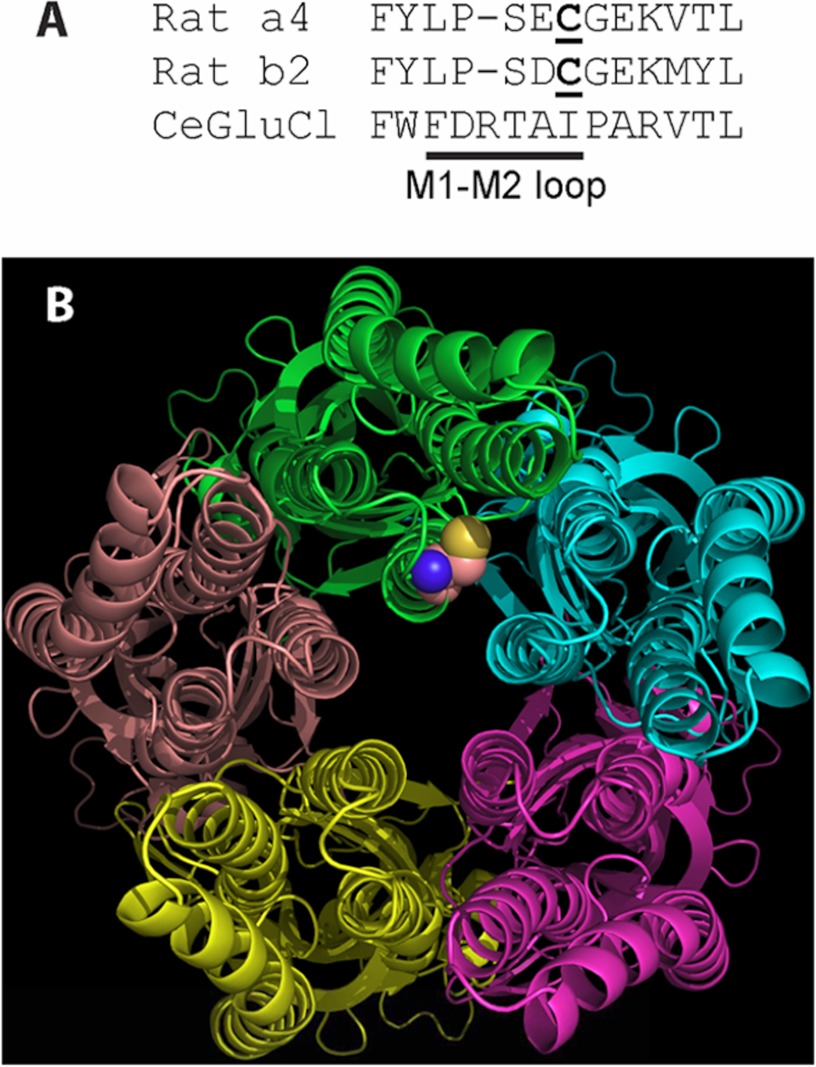 FIGURE 7.