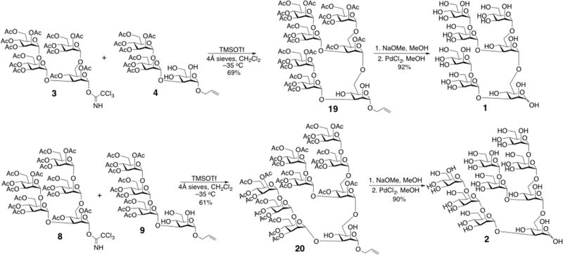 Scheme 4