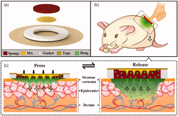 Figure 1.