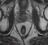 Figure 5: