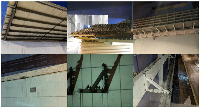 graphic file with name TLSR_36-1-111-g004.jpg