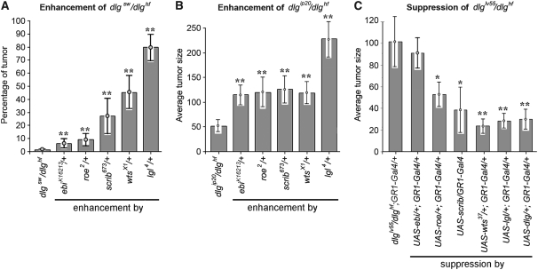 Figure 3.—