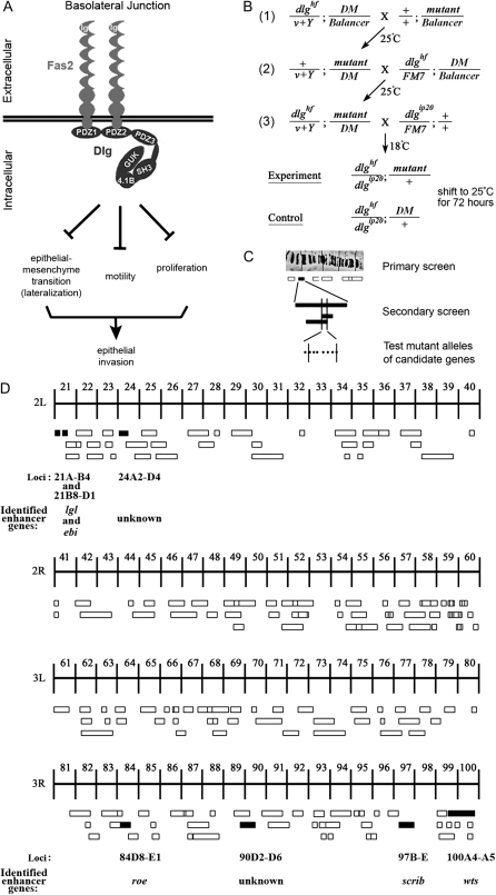 Figure 1.—