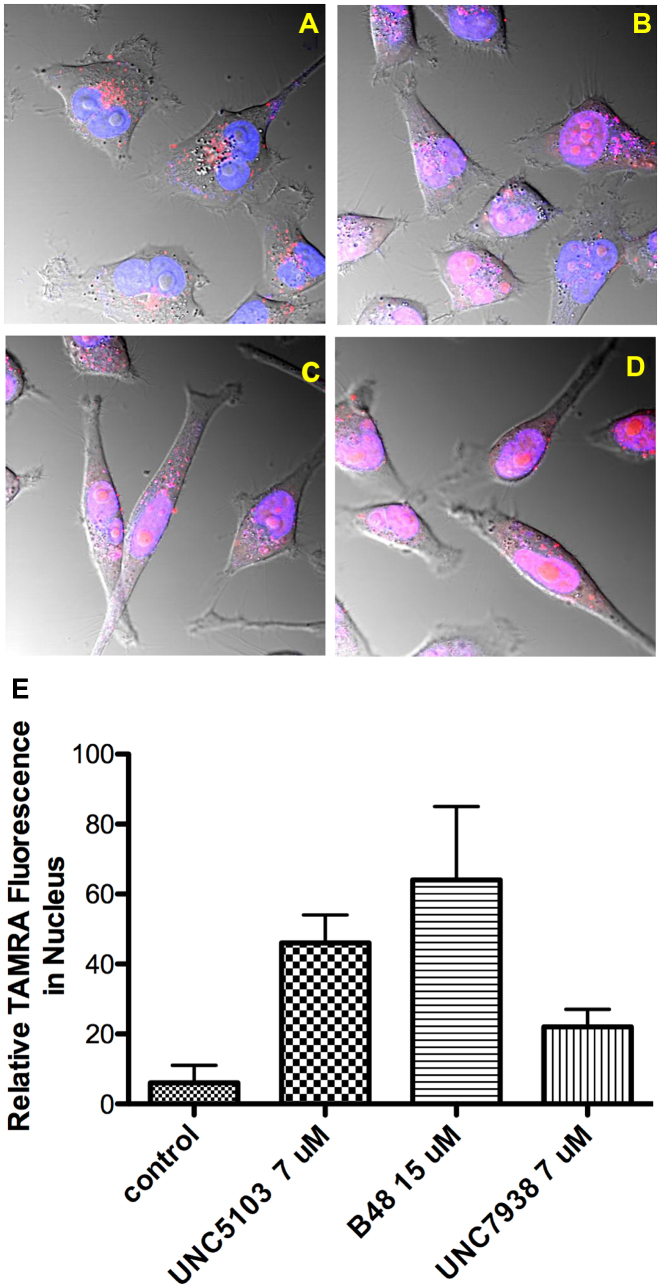 Figure 2.