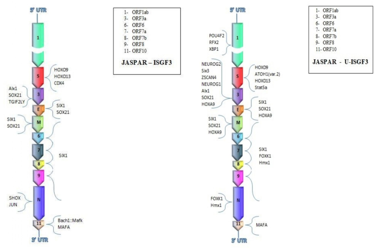 Fig. 2