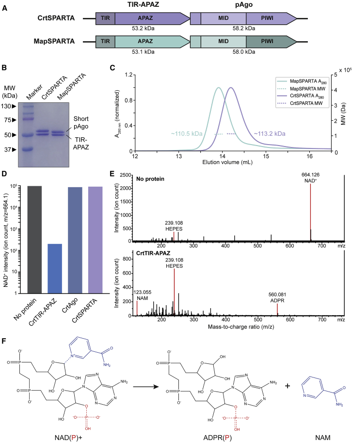 Figure 2