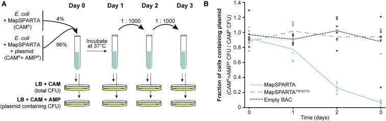 Figure 6