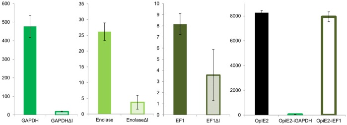 Fig 5