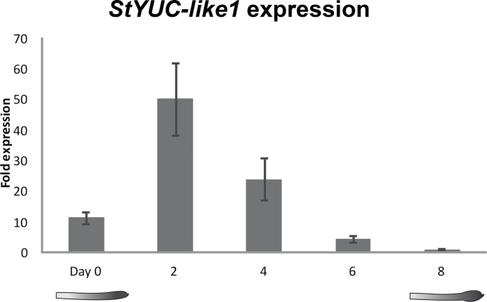 Fig. 3.