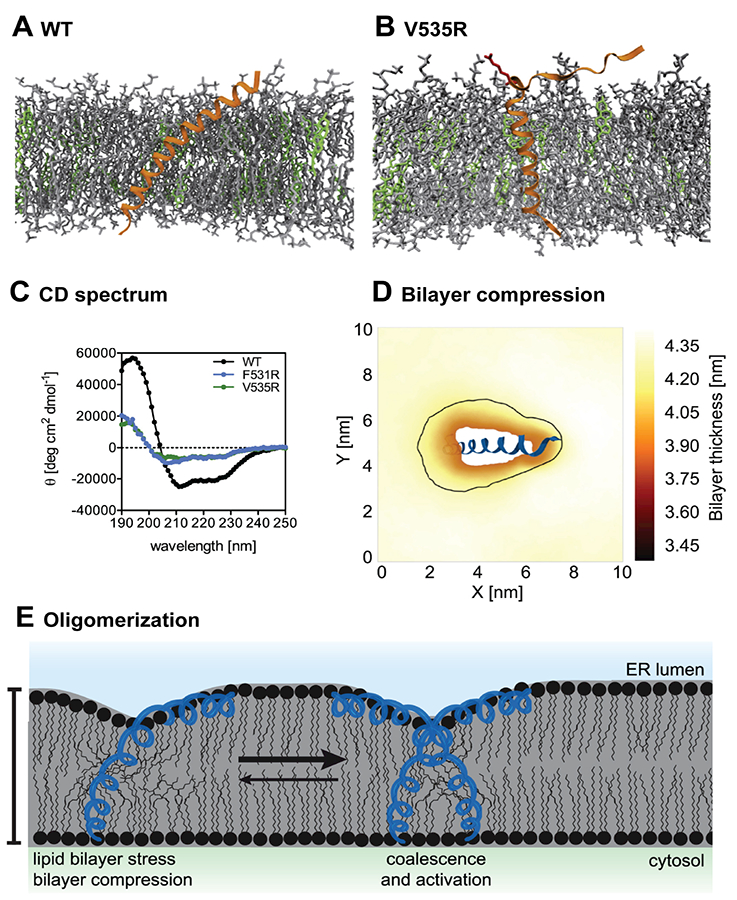 Figure 3: