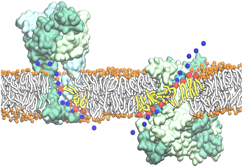 Figure 4: