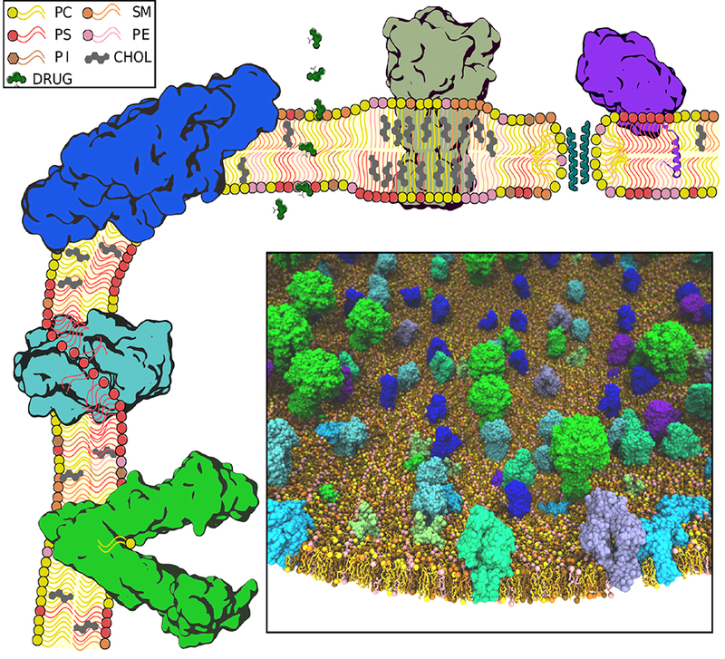 Figure 2: