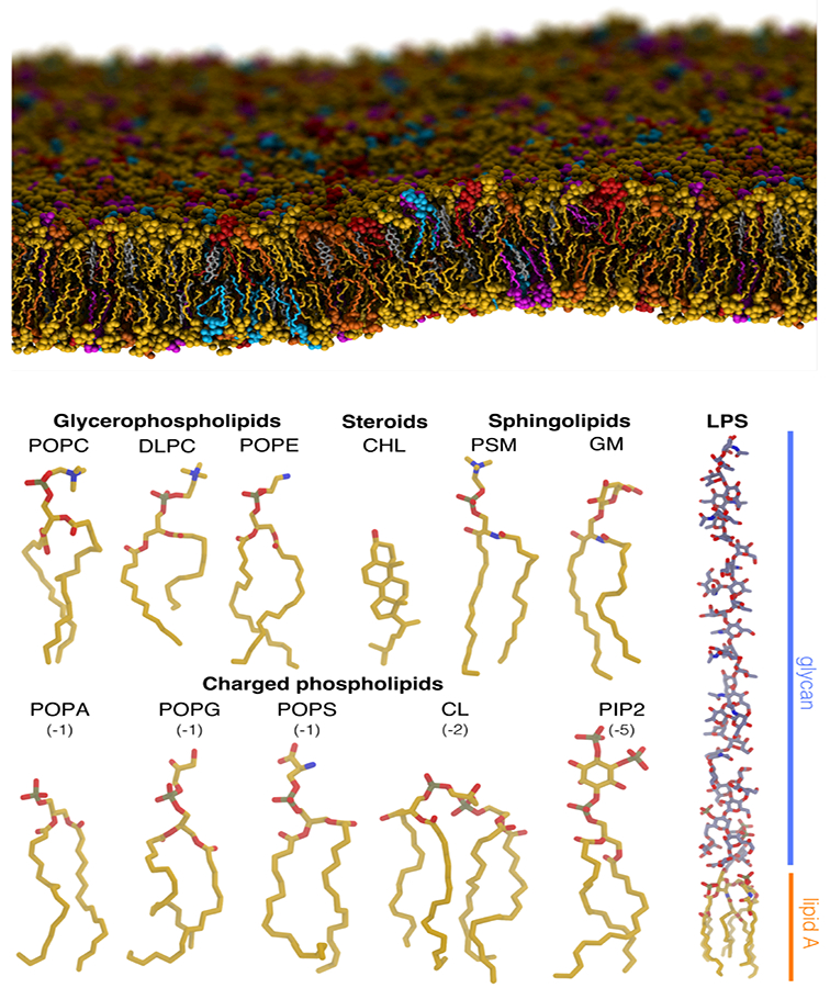 Figure 1: