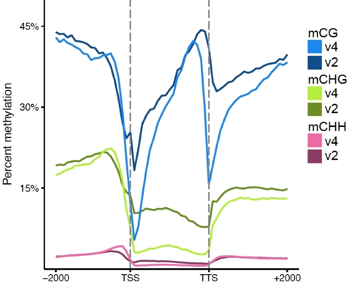 Figure 3: