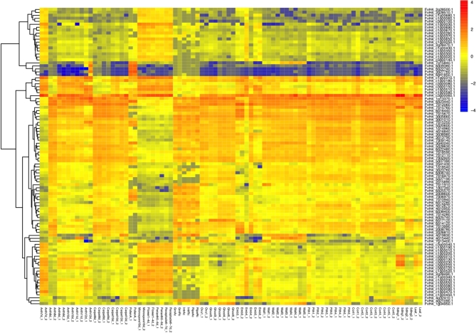 Figure 4: