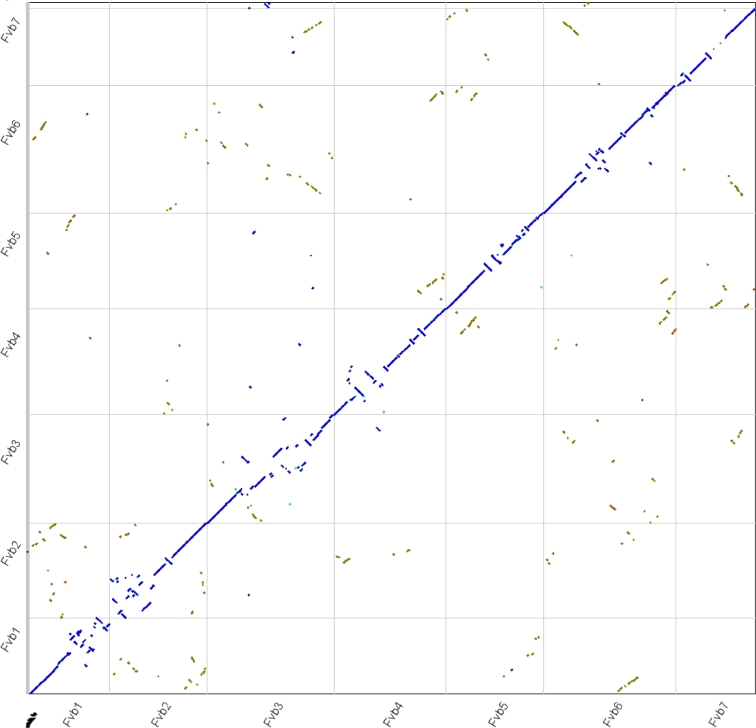 Figure 2: