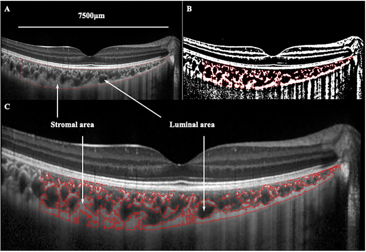 Figure 1.