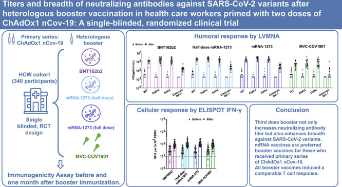 Image, graphical abstract