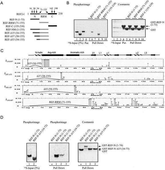 FIGURE 4.