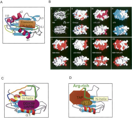 FIGURE 9.