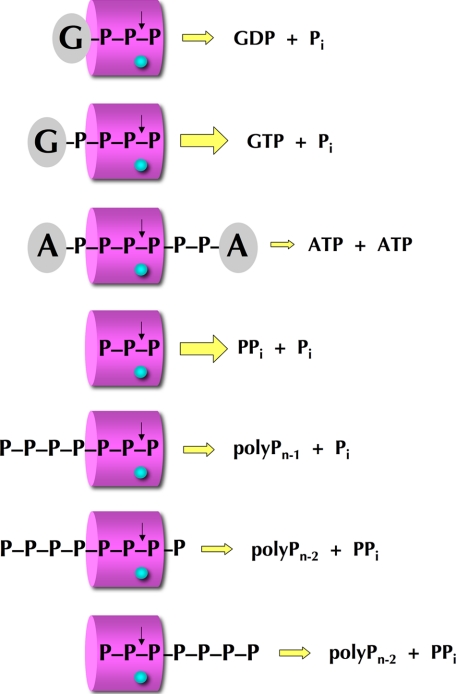 FIGURE 9.