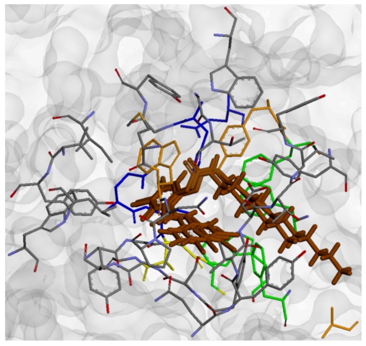 Figure 6