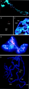 FIG. 8