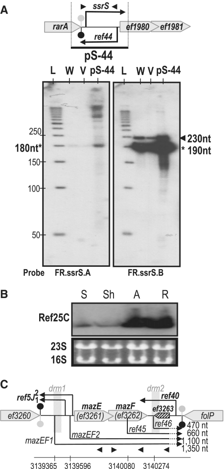 Figure 7.