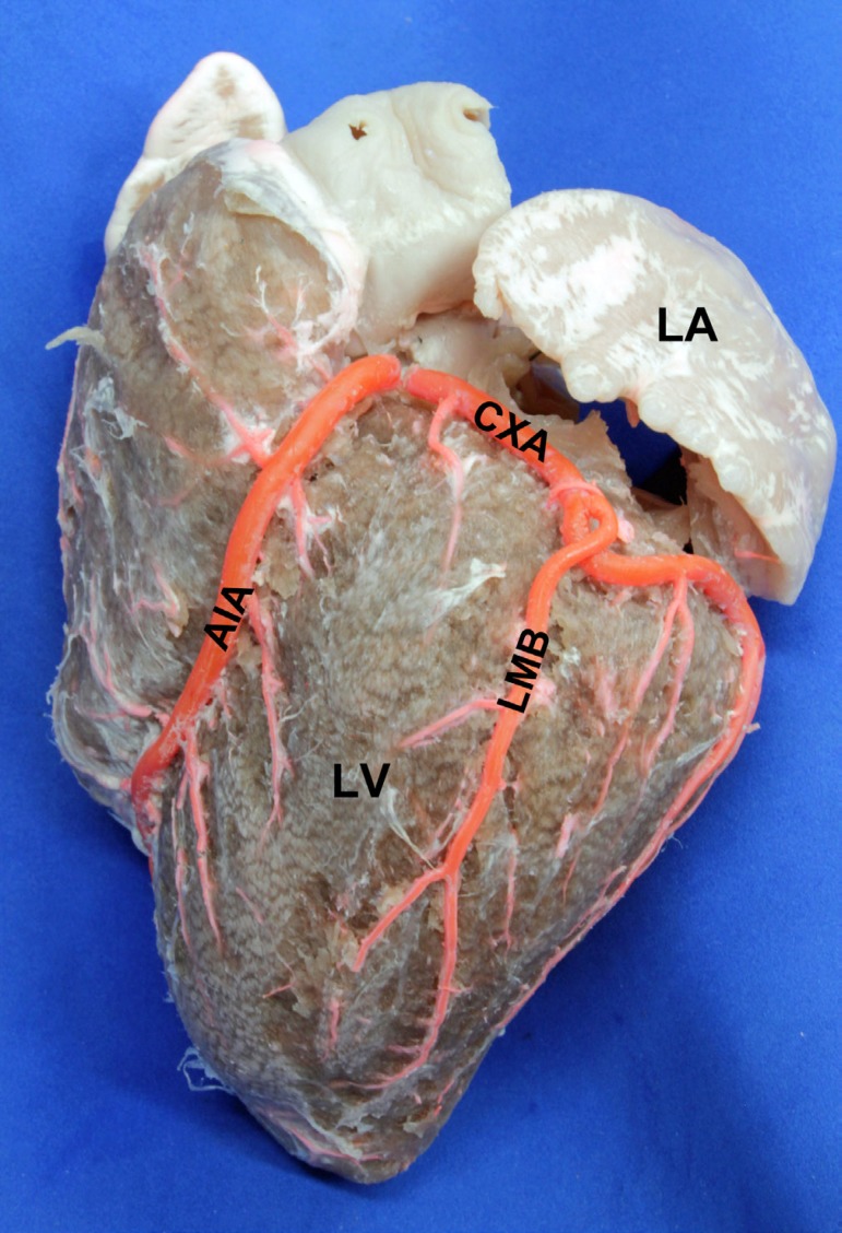 Fig. 5