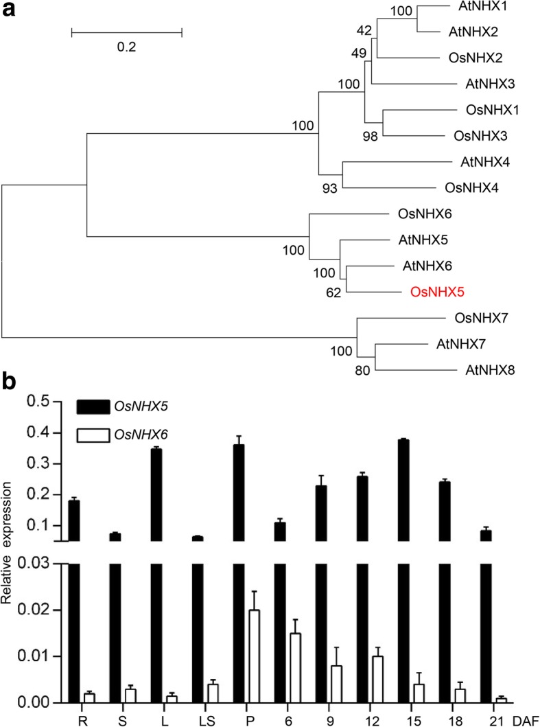 Fig. 6