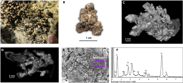 Figure 3