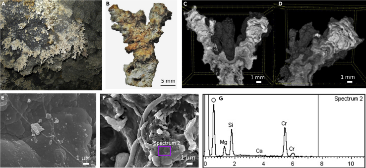 Figure 4