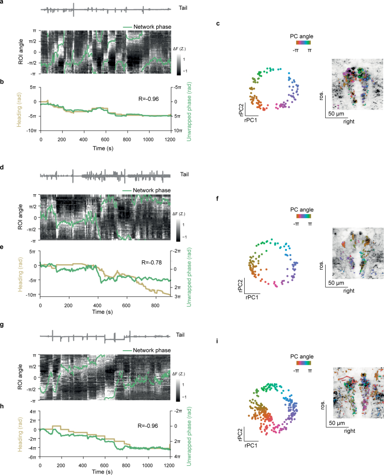 Extended Data Fig. 9