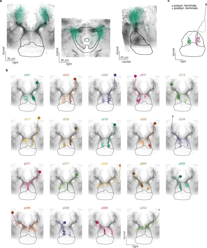 Extended Data Fig. 8