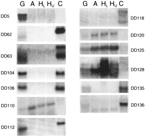 FIG. 5.