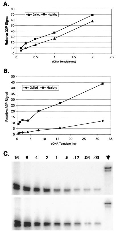 FIG. 6.